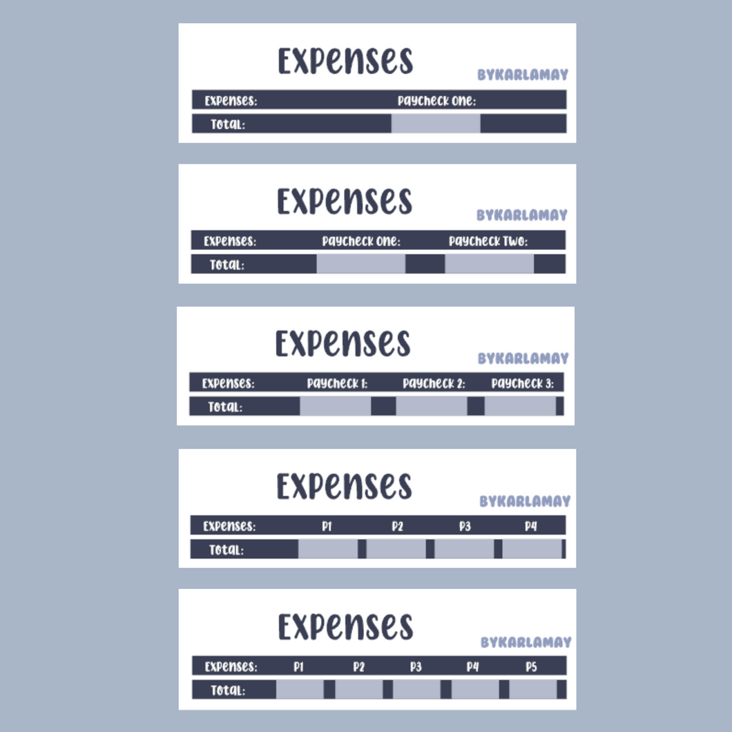 Z 2023 January Expenses | Saving Challenge | Sinking Funds P1-P5